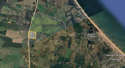 Chacra ID.164 - 19 Hectáreas a la venta a solo 25 km de Punta del Este.