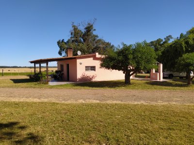 Chacra ID.308 -  Chacra en alquiler anual – 36 hectáreas sobre Ruta Interbalnearia, a minutos de Piriápolis