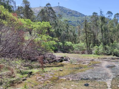 Chacra ID.188 - Chacra historica sobre el Cerro Pan de Azucar, una joya en Piriapolis !!!