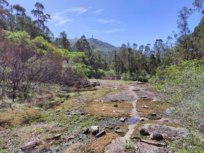 Chacra ID.188 - Chacra historica sobre el Cerro Pan de Azucar, una joya en Piriapolis !!!