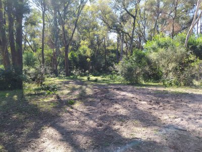 Chacra ID.166 - Sobre el Arroyo Solís !!! fracción de campo a la venta de casi  12 hectáreas