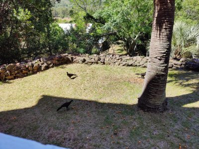 Chacra ID.188 - Chacra historica sobre el Cerro Pan de Azucar, una joya en Piriapolis !!!