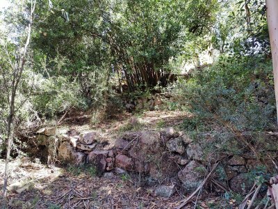 Chacra ID.188 - Chacra historica sobre el Cerro Pan de Azucar, una joya en Piriapolis !!!