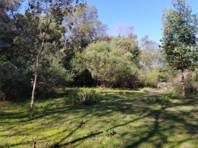 Chacra ID.166 - Sobre el Arroyo Solís !!! fracción de campo a la venta de casi  12 hectáreas