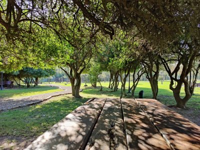Chacra ID.142 - Hermosa casa de campo en el corazon del Balneario, a solo 1000 metros de la Rambla de Piriapolis