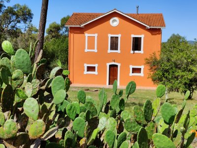 Chacra ID.188 - Chacra historica sobre el Cerro Pan de Azucar, una joya en Piriapolis !!!