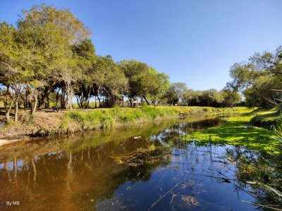 Chacra ID.142 - Hermosa casa de campo en el corazon del Balneario, a solo 1000 metros de la Rambla de Piriapolis