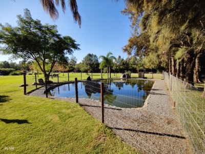 Chacra ID.142 - Hermosa casa de campo en el corazon del Balneario, a solo 1000 metros de la Rambla de Piriapolis