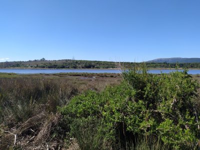 Chacra ID.166 - Sobre el Arroyo Solís !!! fracción de campo a la venta de casi  12 hectáreas