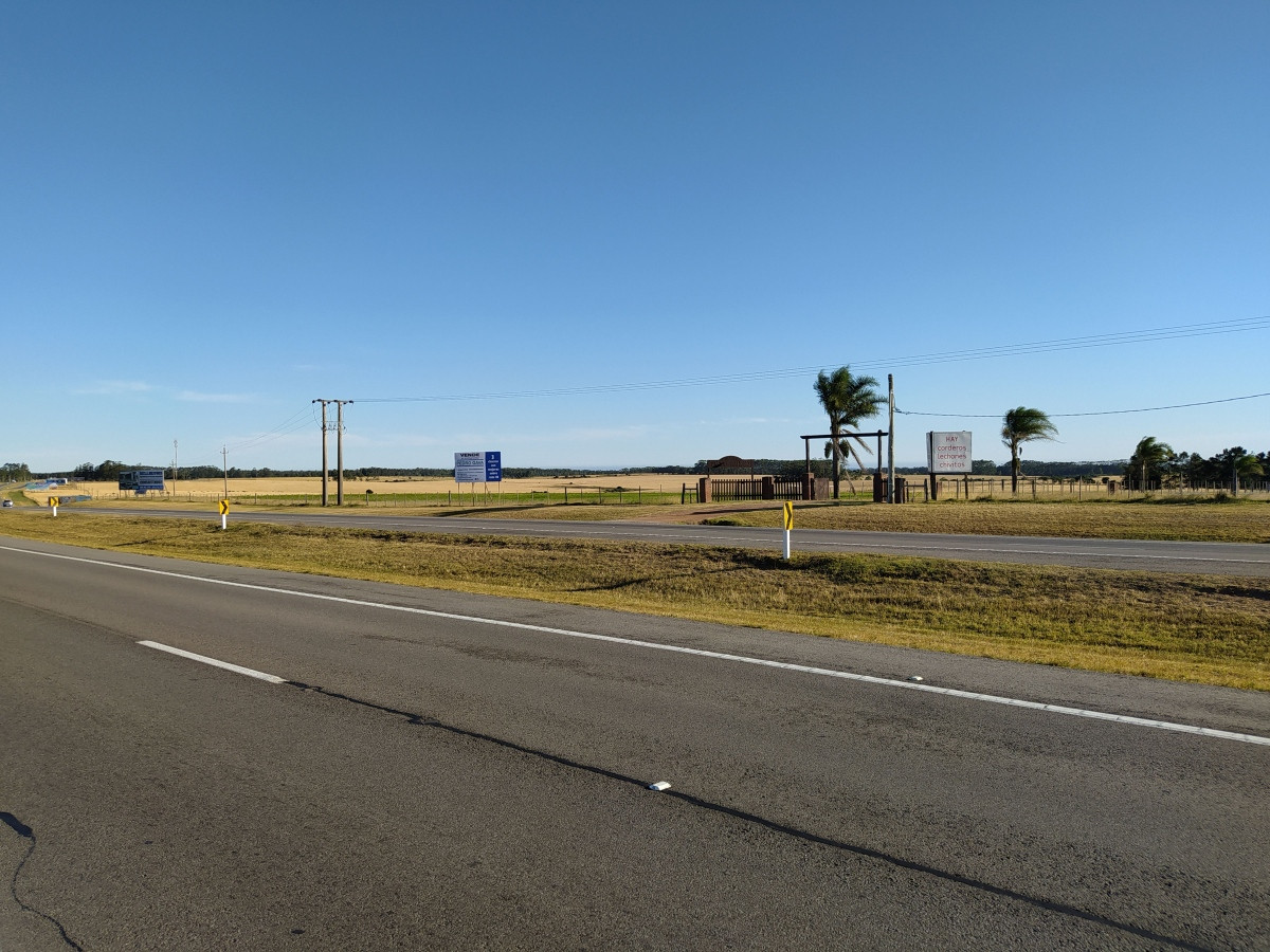19 Hectáreas a la venta a solo 25 km de Punta del Este.