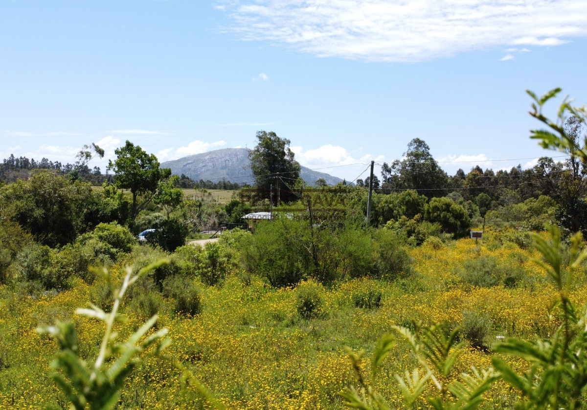 Terreno Proa a la venta en Piriapolis
