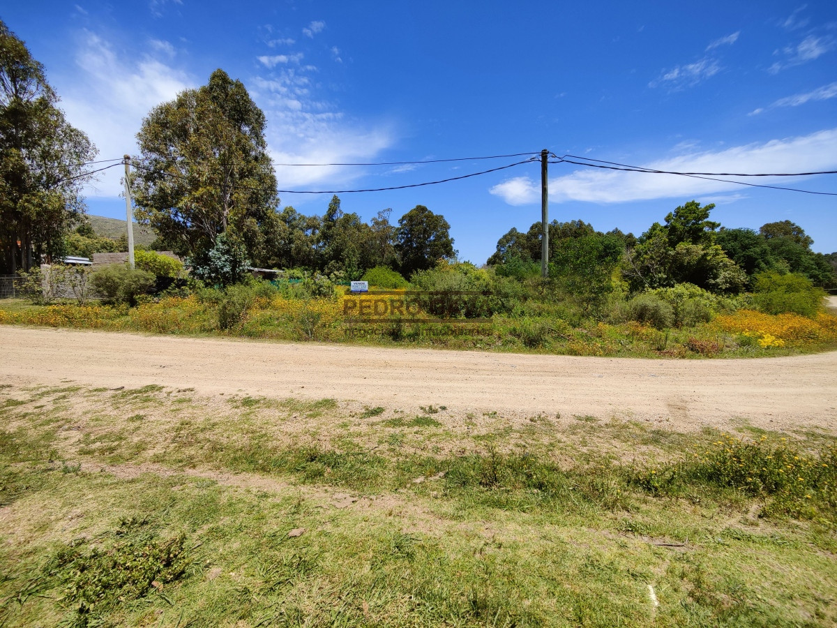 Country - GoPunta - Portal Inmobiliario de Punta del Este - Maldonado