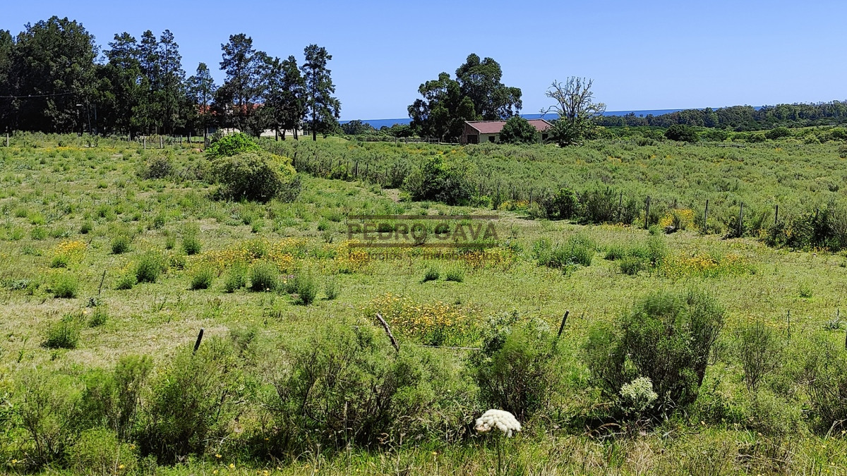 Terreno ID.206 - Hermoso terreno esquina a la venta en Balneario Las Flores 