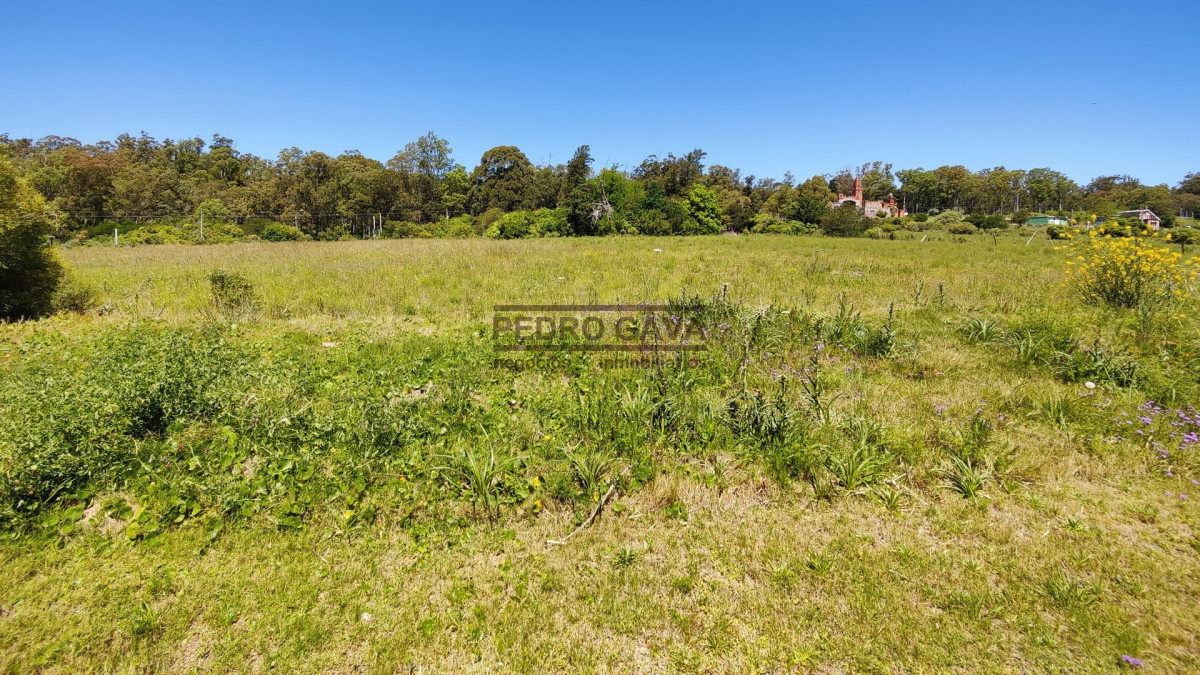 Terreno ID.206 - Hermoso terreno esquina a la venta en Balneario Las Flores 