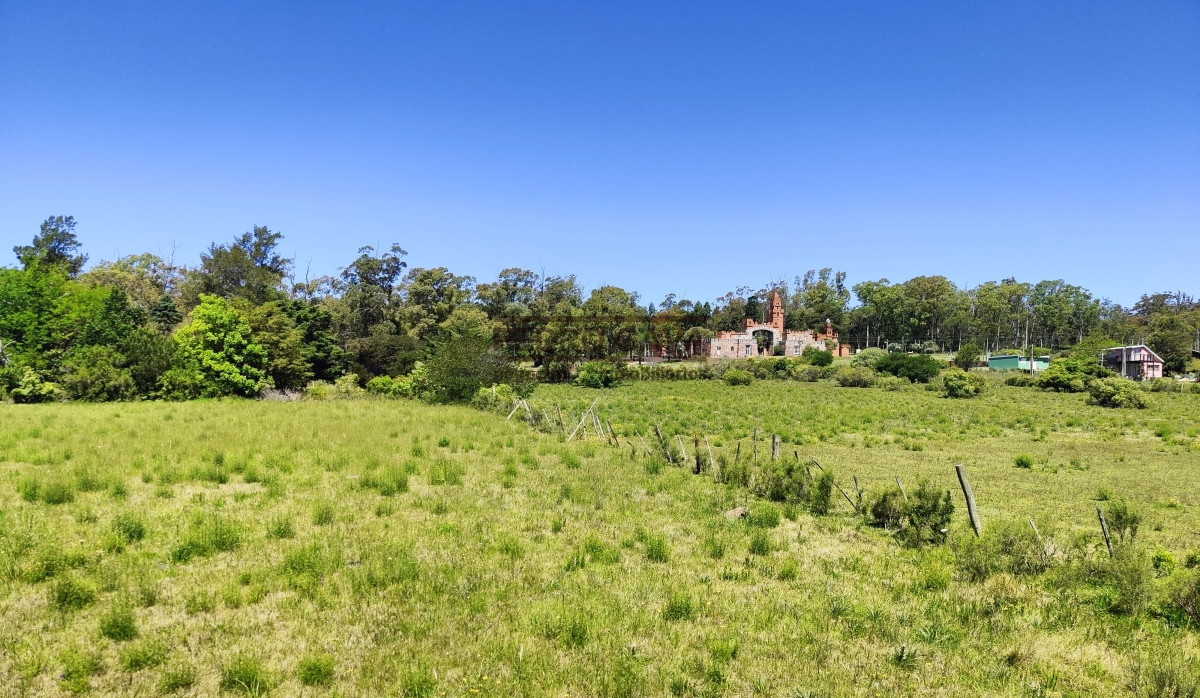 Terreno ID.208 - Terreno a la venta en Balneario las Flores de 560 m2