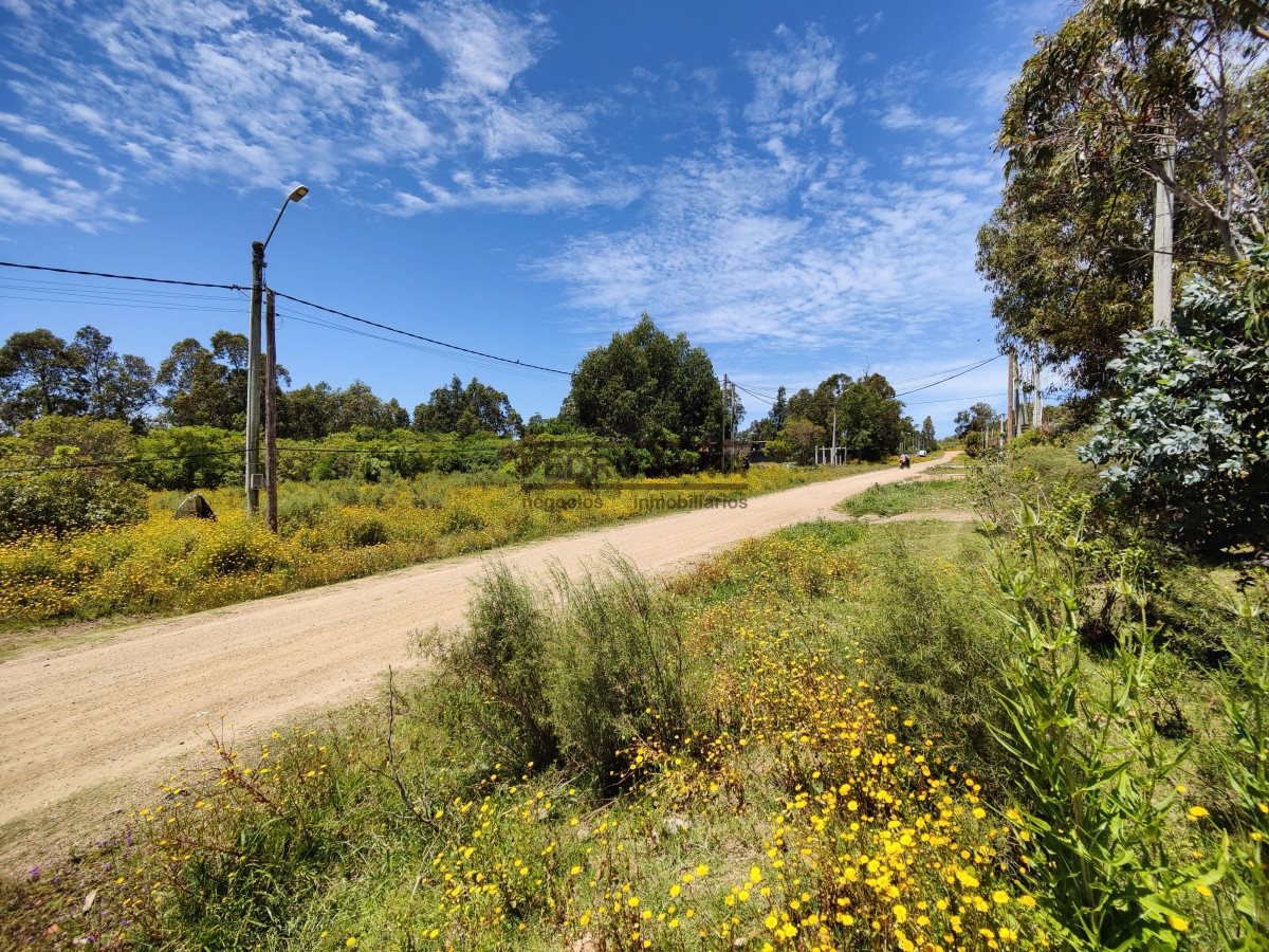 Country - GoPunta - Portal Inmobiliario de Punta del Este - Maldonado