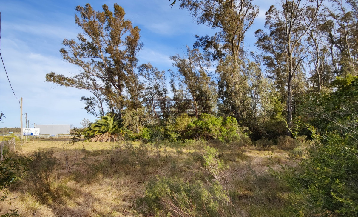 Zona Rural - GoPunta - Portal Inmobiliario de Punta del Este - Maldonado
