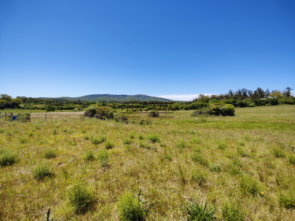 Terreno ID.211 - Jardines del Pittamiglio, terreno a la venta en Balneario las Flores de 560 m2