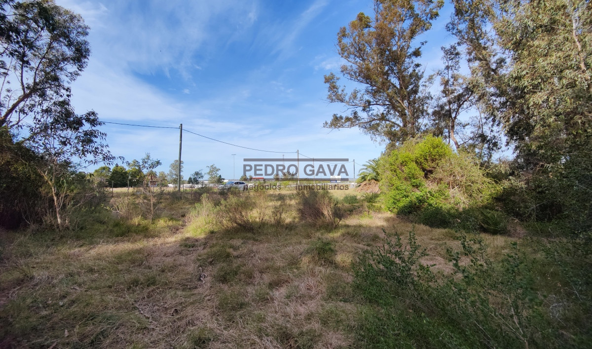 Terreno ID.170 - Excelente terreno para desarrollo logistico sobre Ruta Interbalnearia