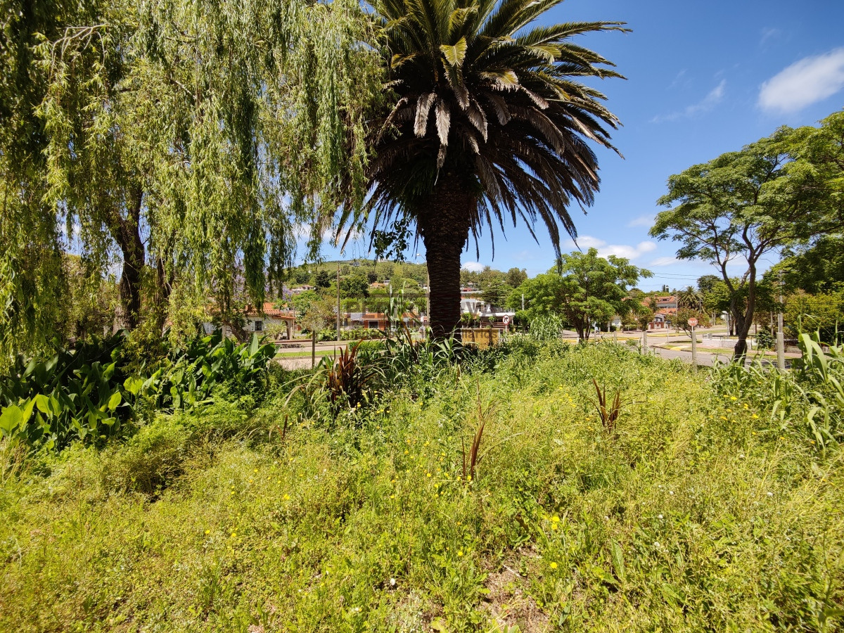Terreno ID.215 - Terreno a la venta en Piriapolis con frente a Avenida de Mayo