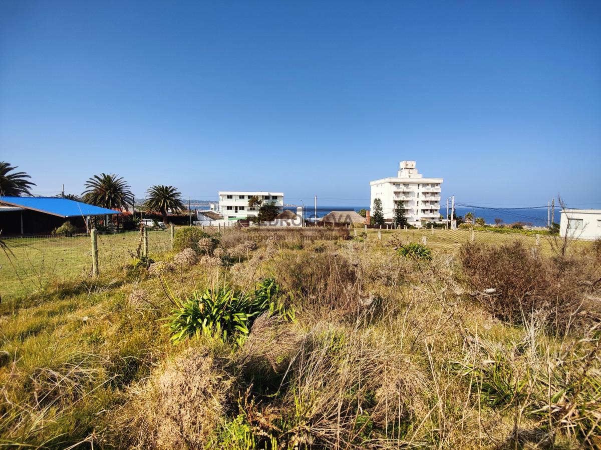Punta Fria - GoPunta - Portal Inmobiliario de Punta del Este - Maldonado