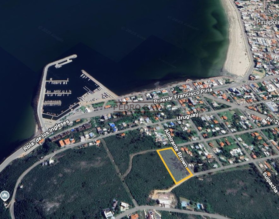 Terreno ID.330 - Terreno a la venta  de 6000 m2 sobre el Cerro San Antonio