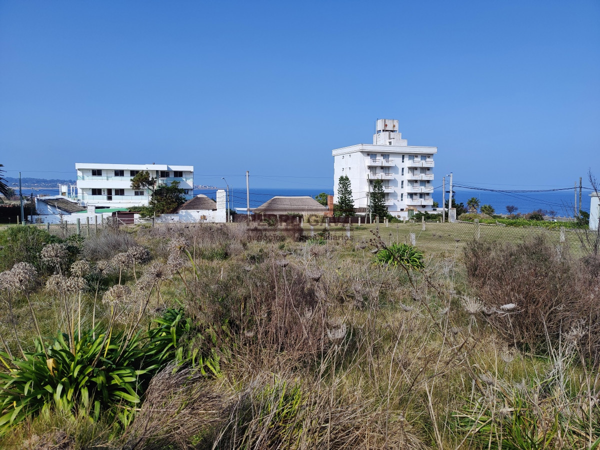 Punta Fria - GoPunta - Portal Inmobiliario de Punta del Este - Maldonado