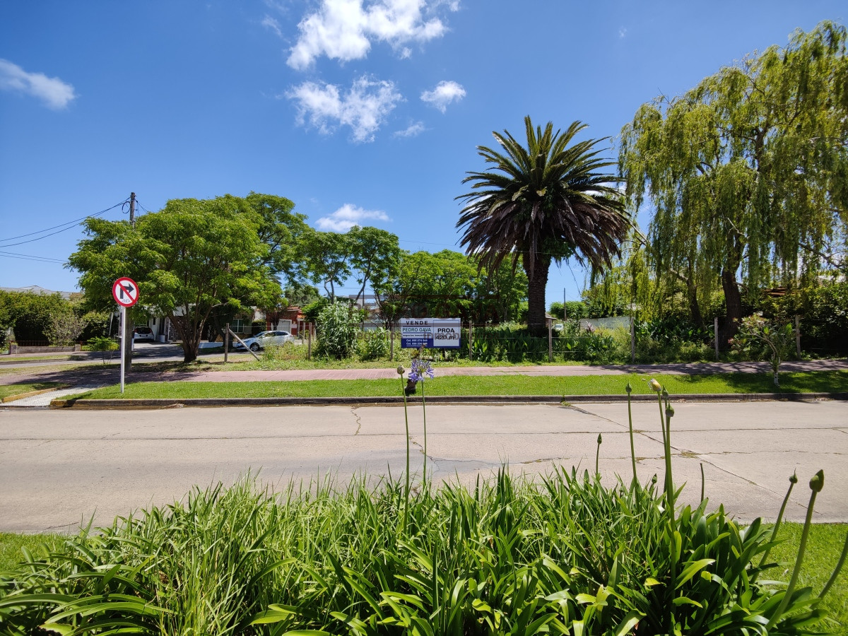 Terreno ID.215 - Terreno a la venta en Piriapolis con frente a Avenida de Mayo