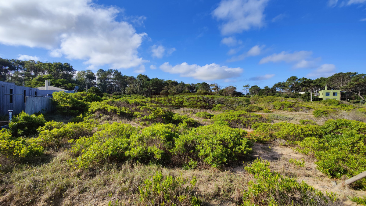 Terreno ID.357 - Terreno en venta en Punta Colorada, sobre Rambla con vista al mar, 1000 m²