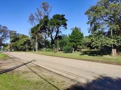 Terreno ID.236 - ¡Bienvenido a una oportunidad única en Piriapolis, Playa Grande! 