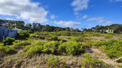 Terreno ID.357 - Terreno en venta en Punta Colorada, sobre Rambla con vista al mar, 1000 m²