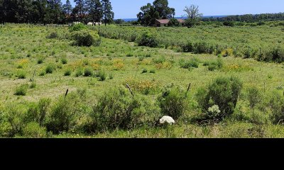 Terreno en venta en Balneario Las Flores de 545 m2