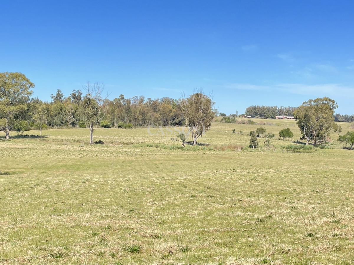 Chacra ID.3208 - CHACRA CON CON CAÑADA RUTA 104 MANANTIALES
