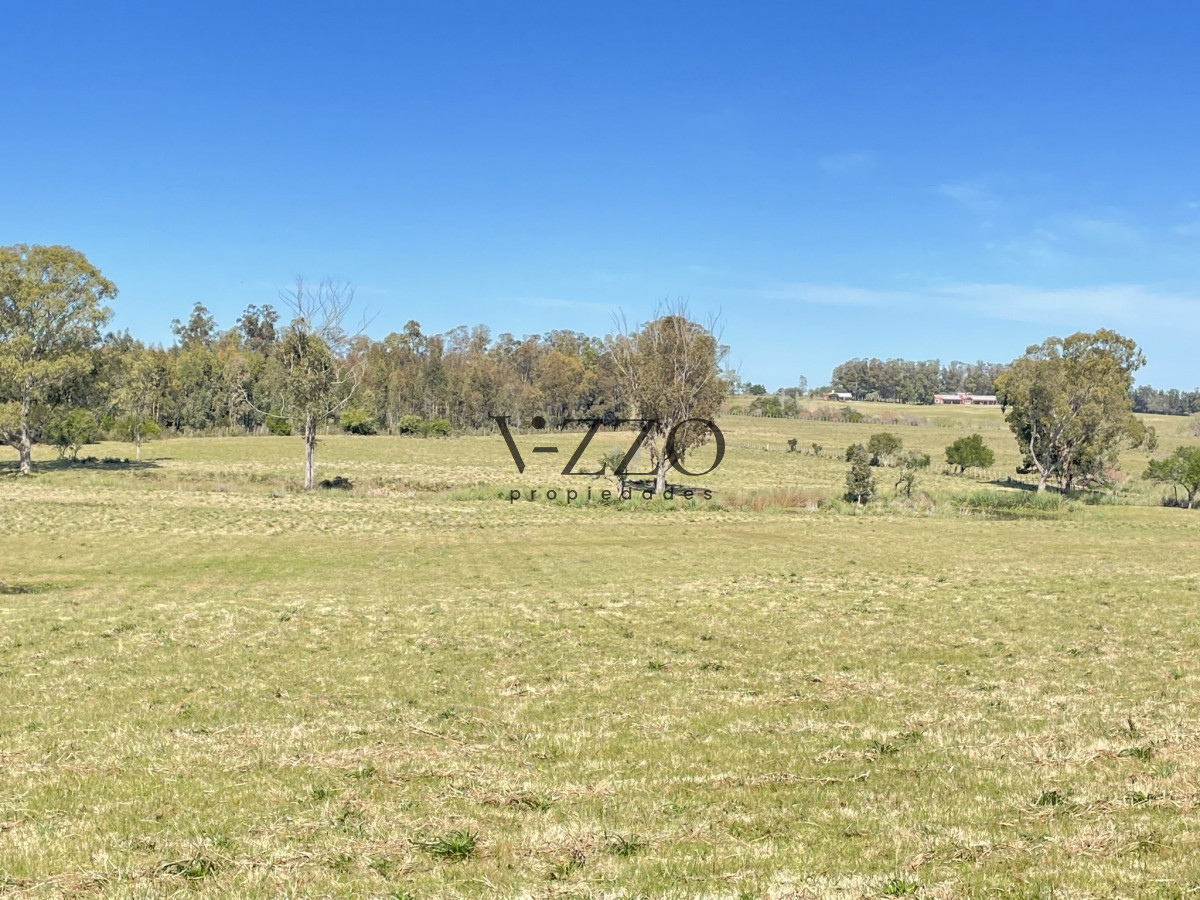 Chacra ID.698/CHACRA-CON-CON-CAÑADA-RUTA-104-MANANTIALES - CHACRA CON CON CAÑADA RUTA 104 MANANTIALES