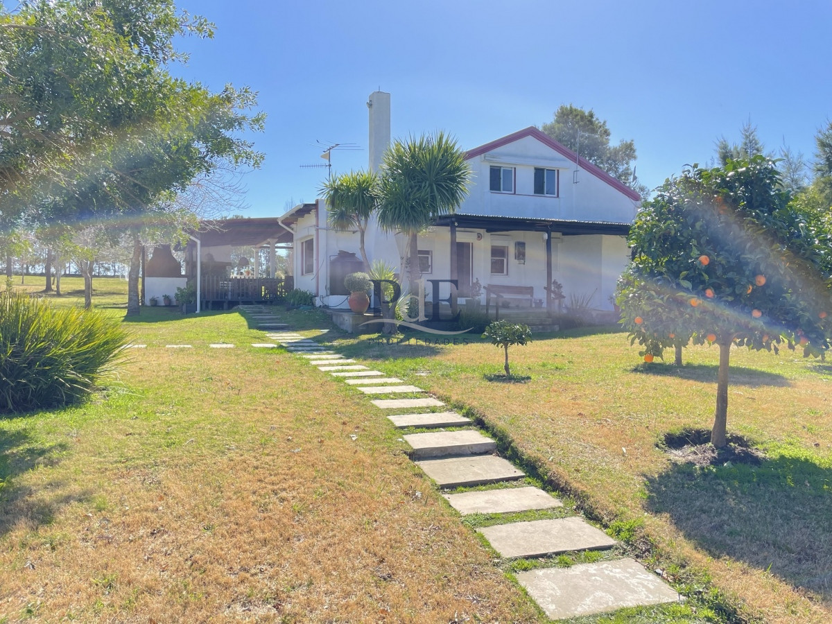 Chacra en Venta . Ruta 104, Manantiales | 5 Hectáreas - Imagen 14