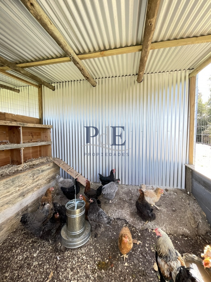 Chacra en Venta . Ruta 104, Manantiales | 5 Hectáreas - Imagen 35