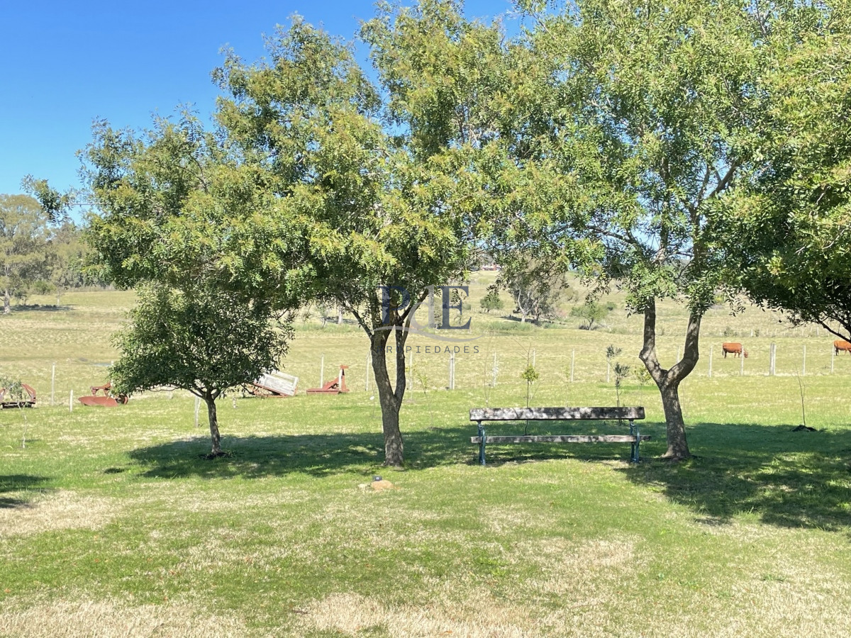 Chacra en Venta . Ruta 104, Manantiales | 5 Hectáreas - Imagen 33