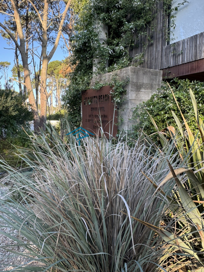 Apartamento en venta en La Juanita 1 dormitorio 