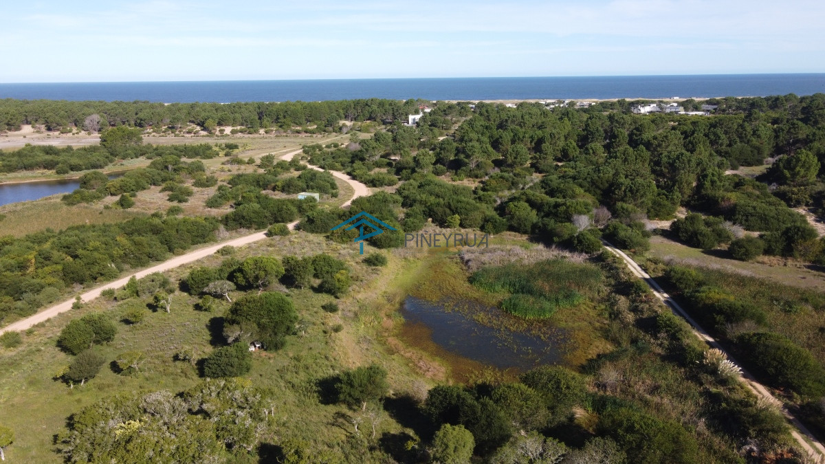 Chacra ID.342 - Chacra en Las Aguadas José Ignacio 3