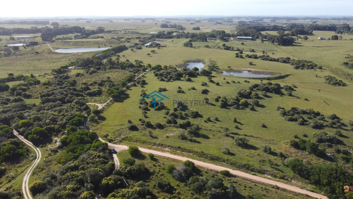 Chacra ID.342 - Chacra en Las Aguadas José Ignacio 3