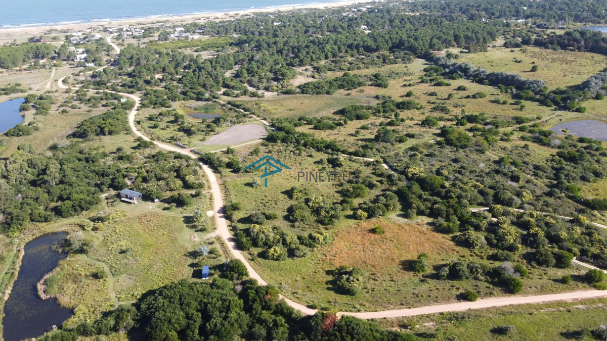 Chacra ID.340 - Chacra en Las Aguadas José Ignacio 12