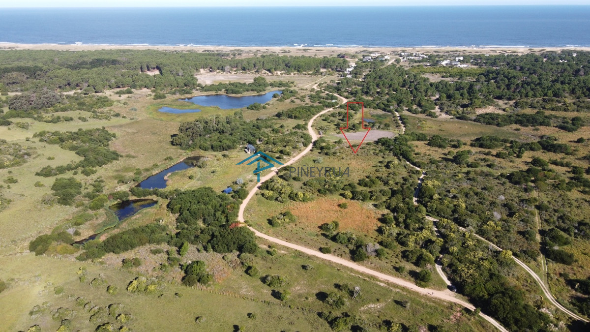 Chacra ID.341 - Fracción 16 En Las Aguadas