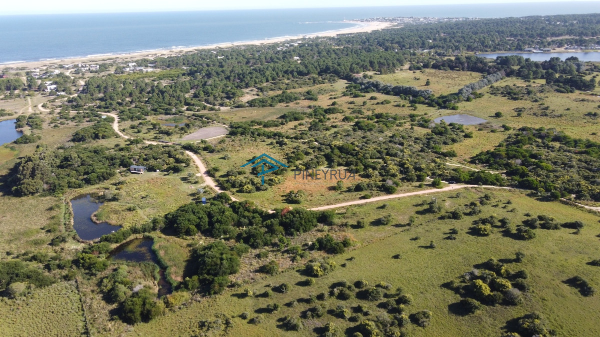 Chacra ID.342 - Chacra en Las Aguadas José Ignacio 3