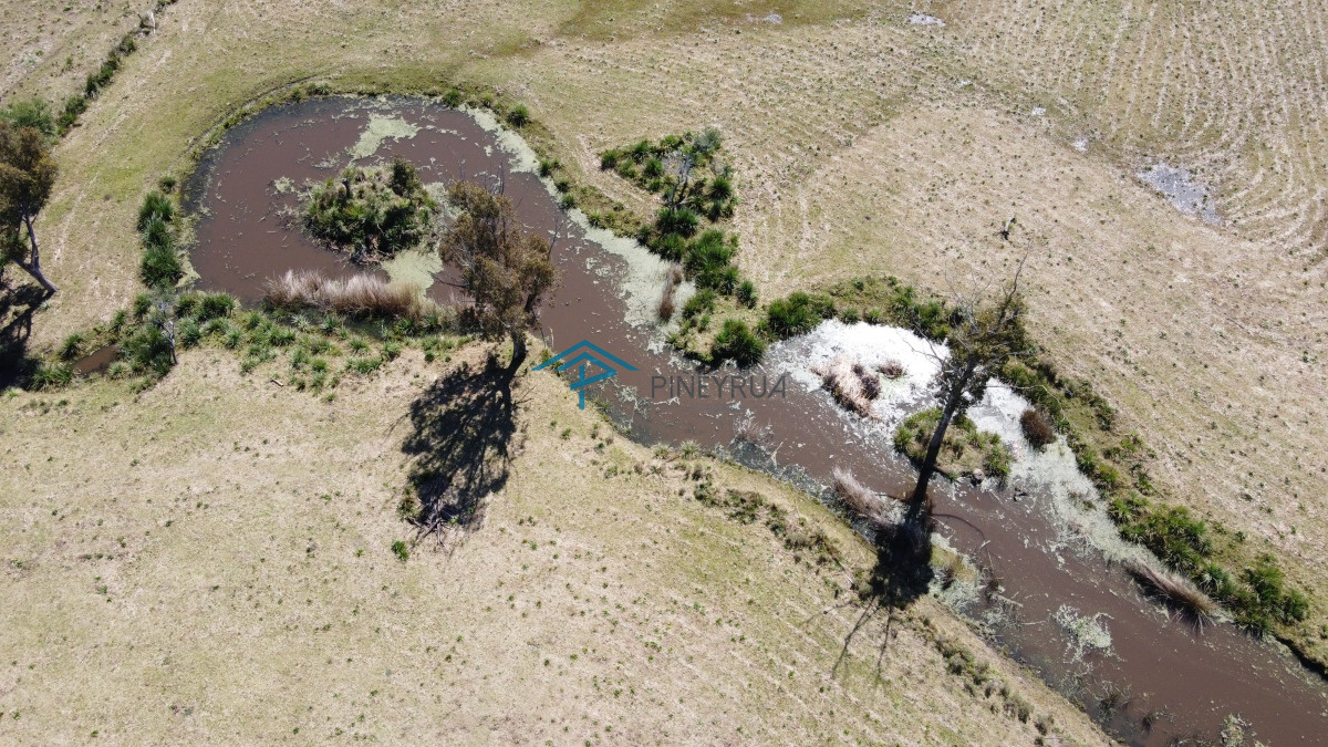 Chacra ID.273 - CHACRA CON CON CAÑADA RUTA 104 MANANTIALES