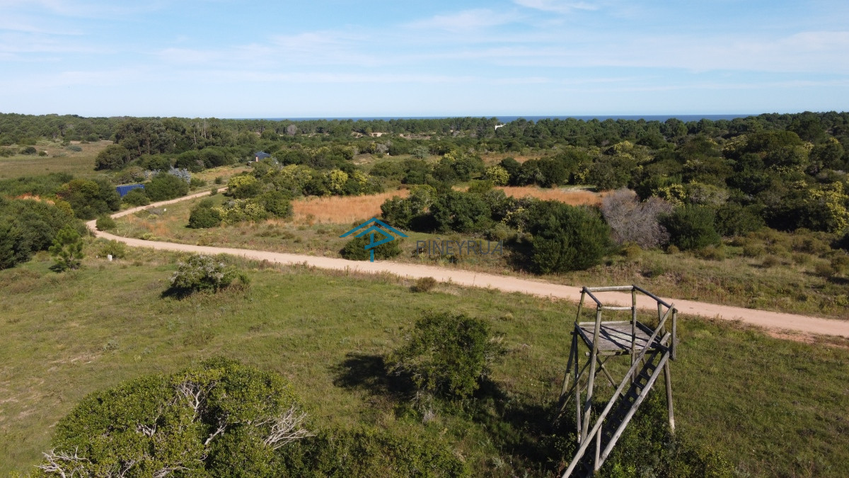 Chacra ID.340 - Chacra en Las Aguadas José Ignacio 12
