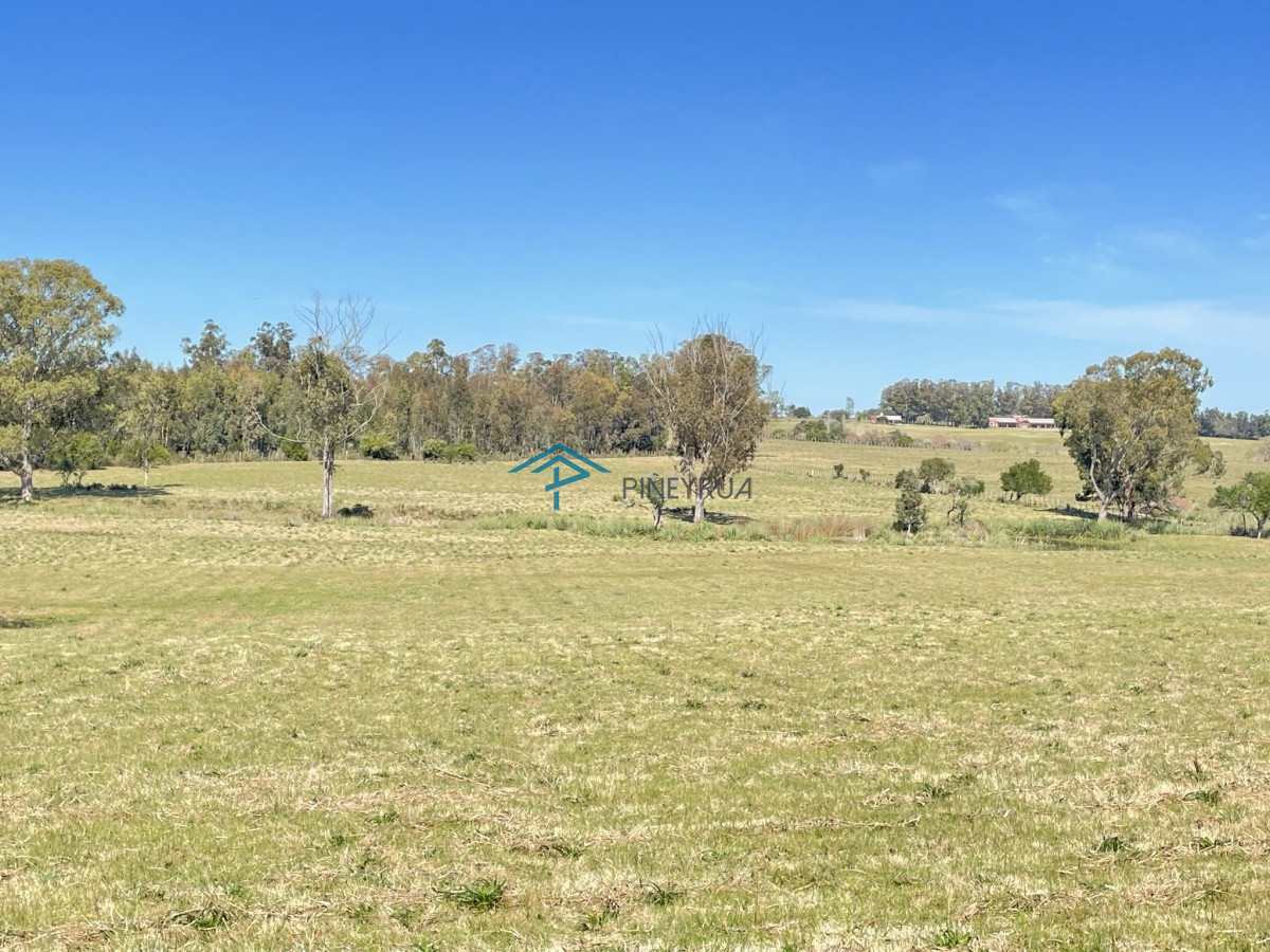 CHACRA CON CON CAÑADA RUTA 104 MANANTIALES