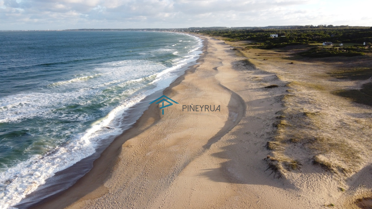Primera Linea al Mar En Santa Monica José Ignacio