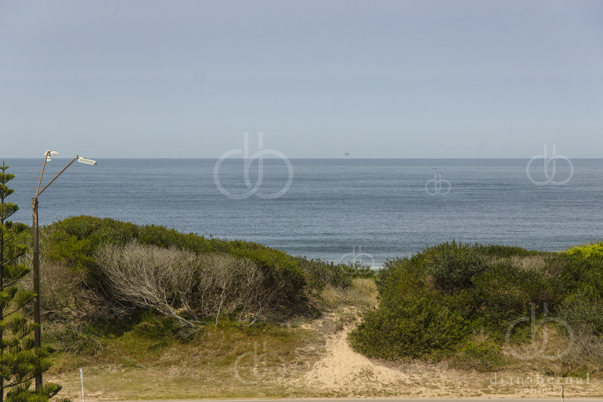 La Pastora - GoPunta - Portal Inmobiliario de Punta del Este - Maldonado