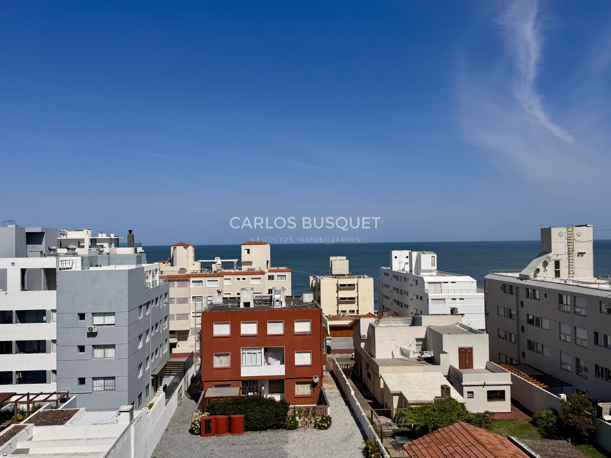 Apartamento ID.1073 - APTO DE 1 DORMITORIO EN PLENO CORAZON DE LA PENINSULA
