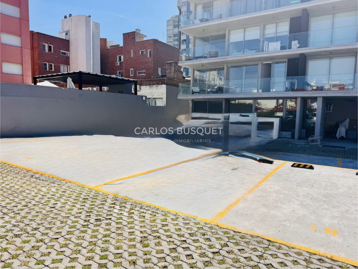 Apartamento ID.1073 - APTO DE 1 DORMITORIO EN PLENO CORAZON DE LA PENINSULA